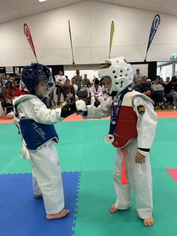 84CE47A8-C1F8-4435-B28A-E57CC79F192E_1_105_c