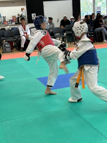 DB7B20BB-454D-47DC-93D1-4CE3C388D52D_1_105_c